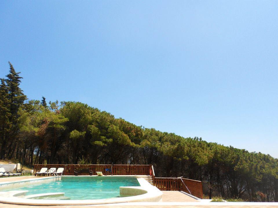 Agriturismo Collecammino Βίλα Lenola Εξωτερικό φωτογραφία